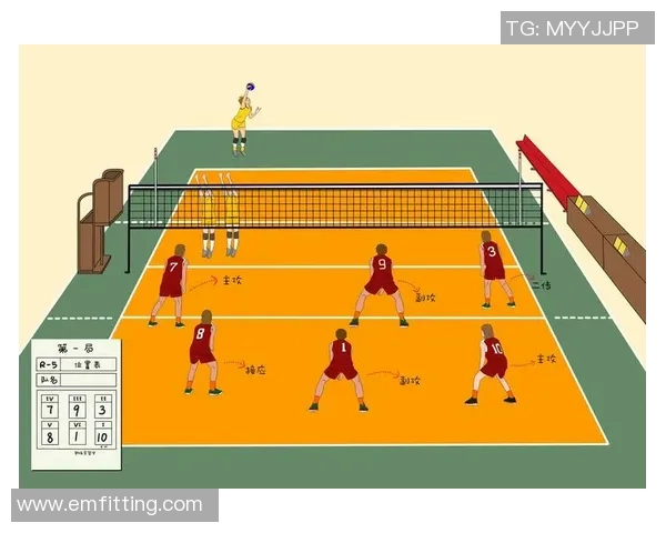杭州排球队进攻体系解析及战术创新研究