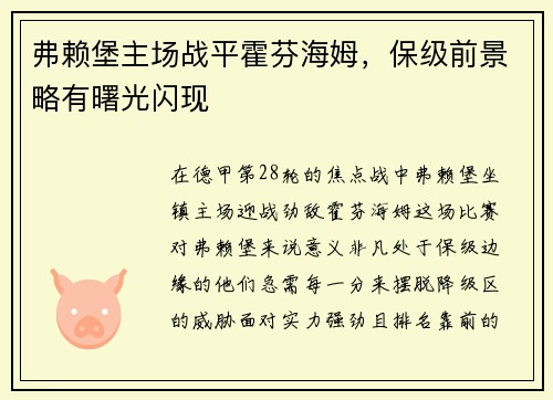 弗赖堡主场战平霍芬海姆，保级前景略有曙光闪现